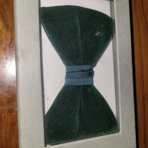 Jos. A. Bank Peacock Green Velvet Bowtie